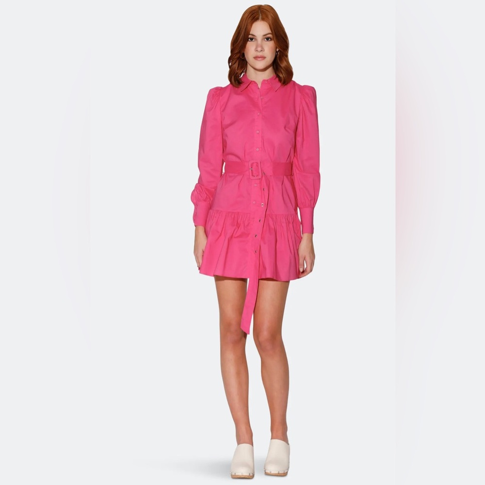 Walter Baker Dress